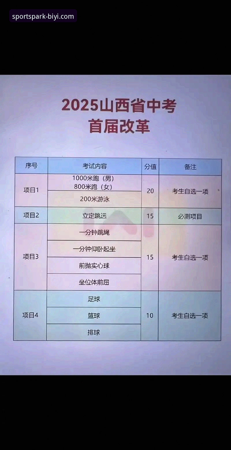 必一体育手机版下载哪个好 必一体育手机版下载哪个好?2025年官方版本全方位深度分析与实战指南