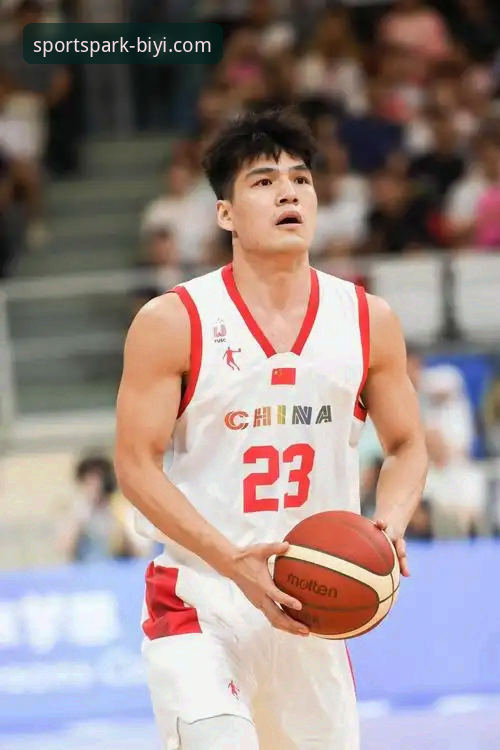必一体育APP下载 CBA状元回避条款深度解析:陈国豪对阵老东家使用教程与赛事解读